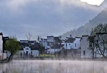 北京茶叶行业资讯平台